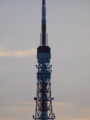 [EC-20][ZD ED 50-200mm F2.8-3.5 SWD]200mmx2=400mmで撮影