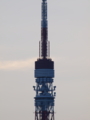 [EC-14][EC-20][ZD ED 50-200mm F2.8-3.5 SWD]200mmx1.4x2=560mmで撮影(MF,絞り不明)