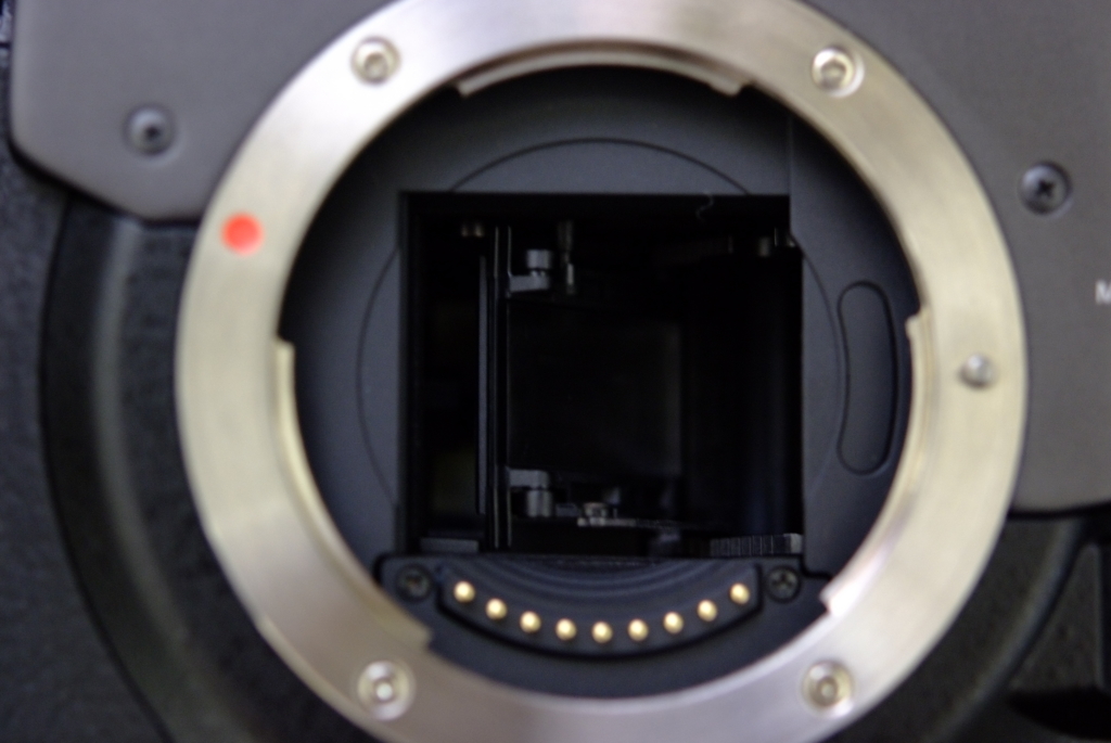 Olympus E 300 Estelの雑記帳