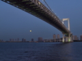 [EC-14][LEICA D VE 14-150mm F3.5-5.6]十六夜 before dark