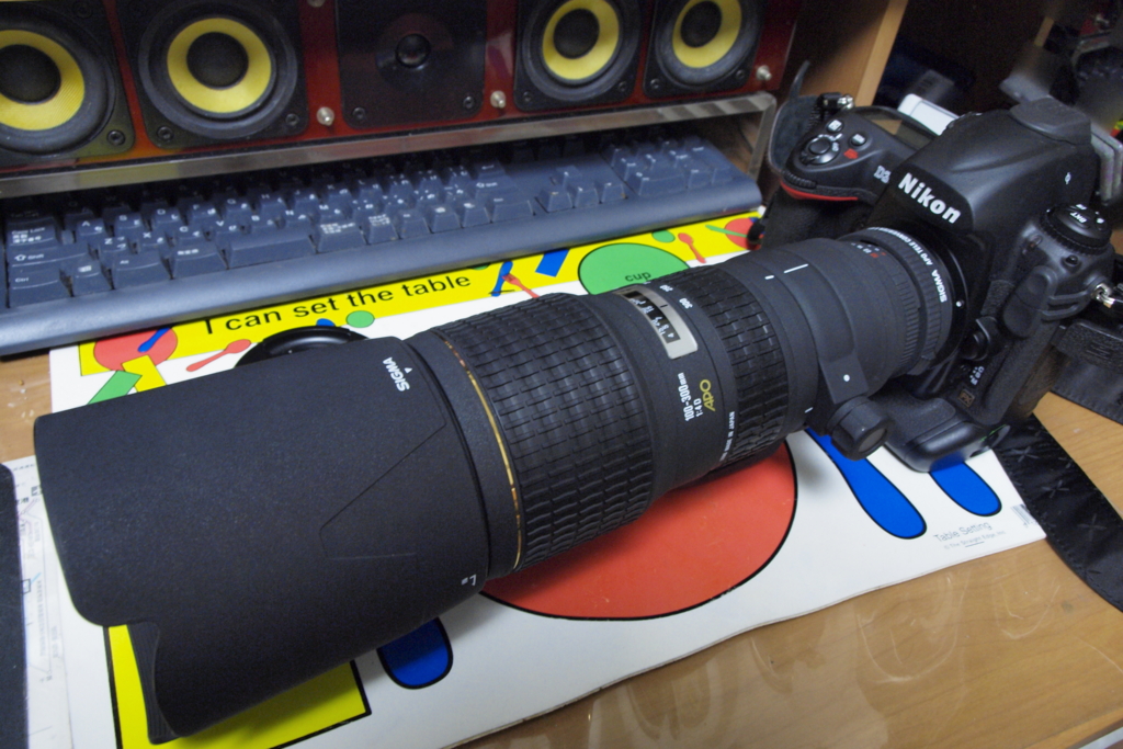 SIGMA APO 100-300mm F4 EX IF HSM - estelの雑記帳