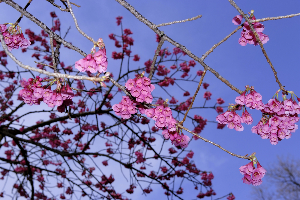 f:id:estel_bb:20100313160339j:image:w480 f:id:estel_bb:20100313160339j:image:w480