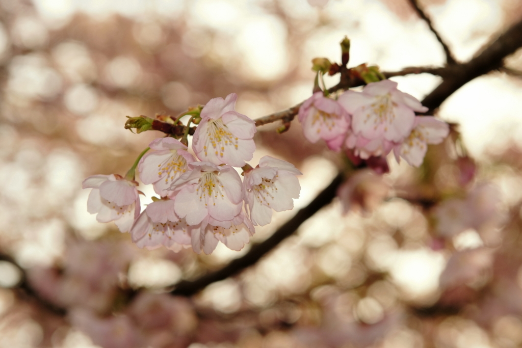f:id:estel_bb:20100313160757j:image:w480 f:id:estel_bb:20100313160757j:image:w480