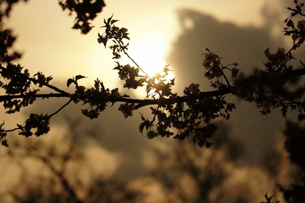 f:id:estel_bb:20100313163143j:image:w480 f:id:estel_bb:20100313163143j:image:w480