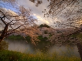 [HDR][ZD ED 7-14mm F4.0]牛が淵