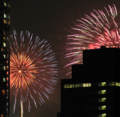 [SIGMA 100-300mm F4 EX]東京湾大華火大会2010