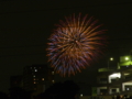 [LEICA D VE 14-150mm F3.5-5.6]朝霞市民まつり「彩夏祭」花火大会