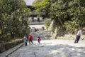 [DT 16-80/F3.5-4.5 ZA]知恩院 男坂