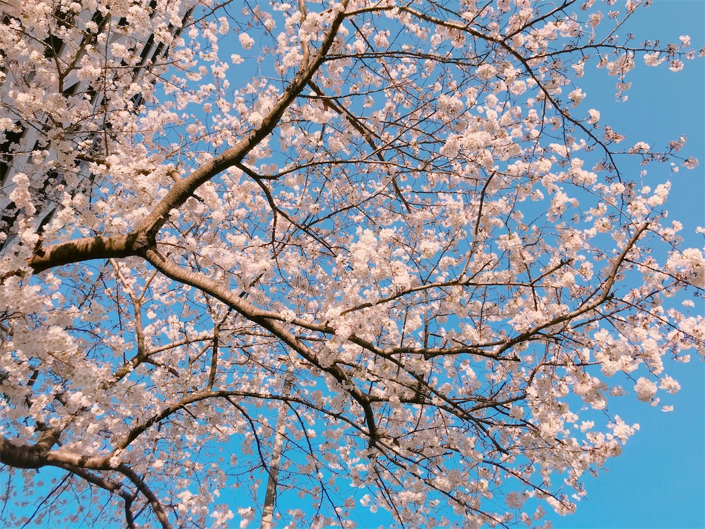 f:id:estmari:20180327215542j:image f:id:estmari:20180327215542j:image