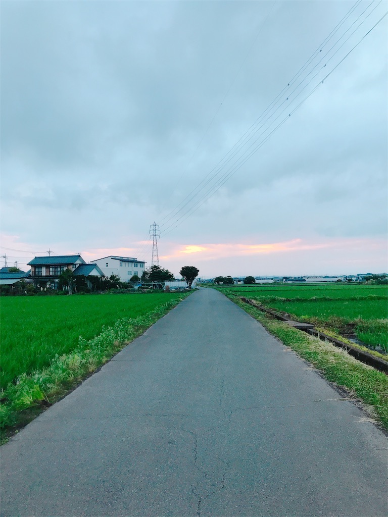 f:id:estmari:20180625192515j:image