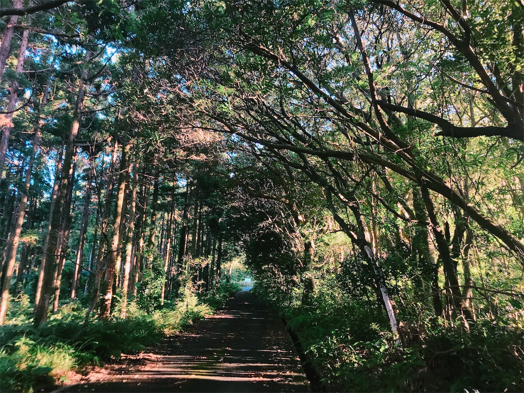 f:id:estmari:20180717235608j:image
