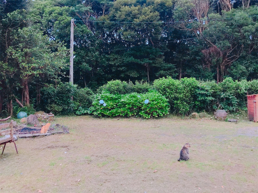 f:id:estmari:20180717235630j:image