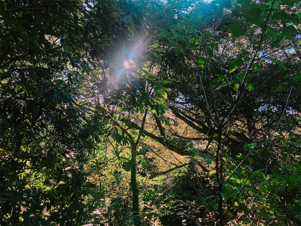 f:id:estmari:20180717235822j:image