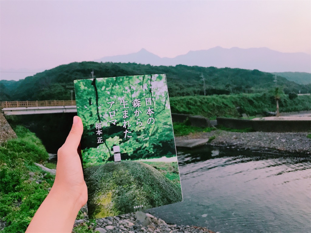 f:id:estmari:20180718000517j:image