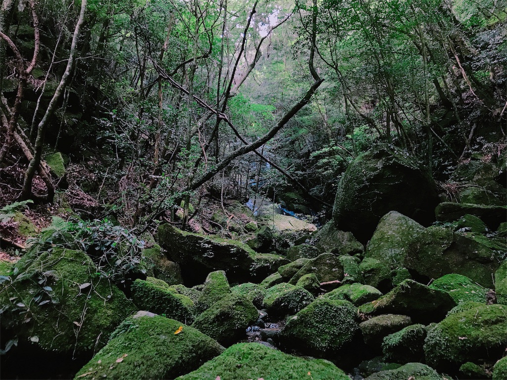 f:id:estmari:20180806121646j:image