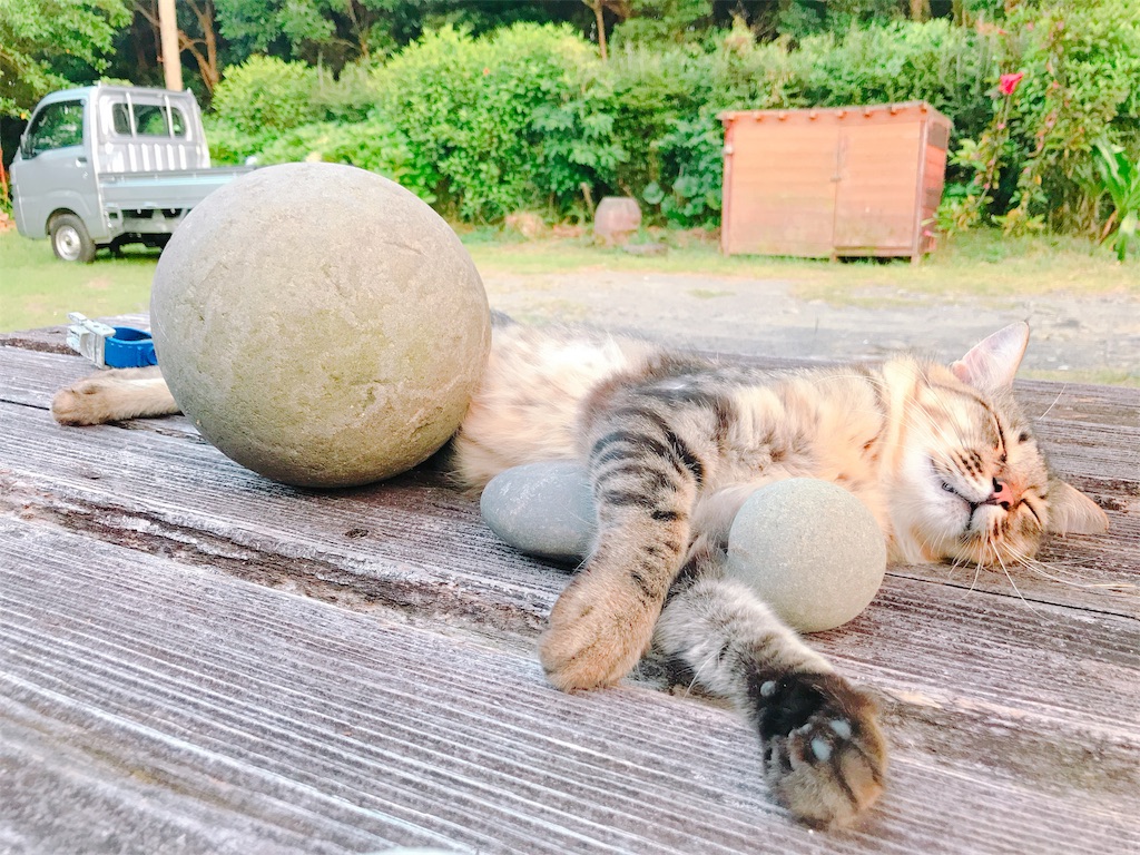f:id:estmari:20180806141151j:image