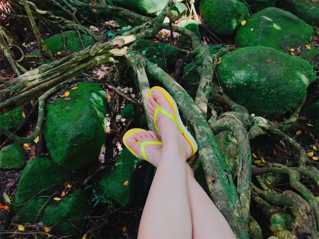 f:id:estmari:20180821220457j:image