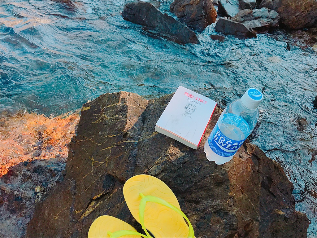 f:id:estmari:20180821220936j:image