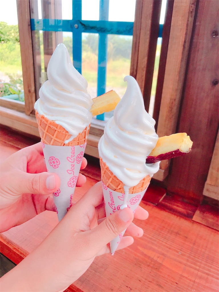 f:id:estmari:20180821221135j:image