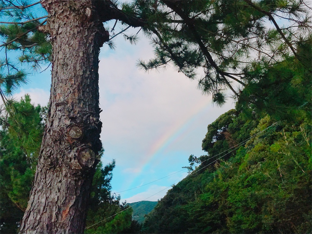 f:id:estmari:20180901151241j:image