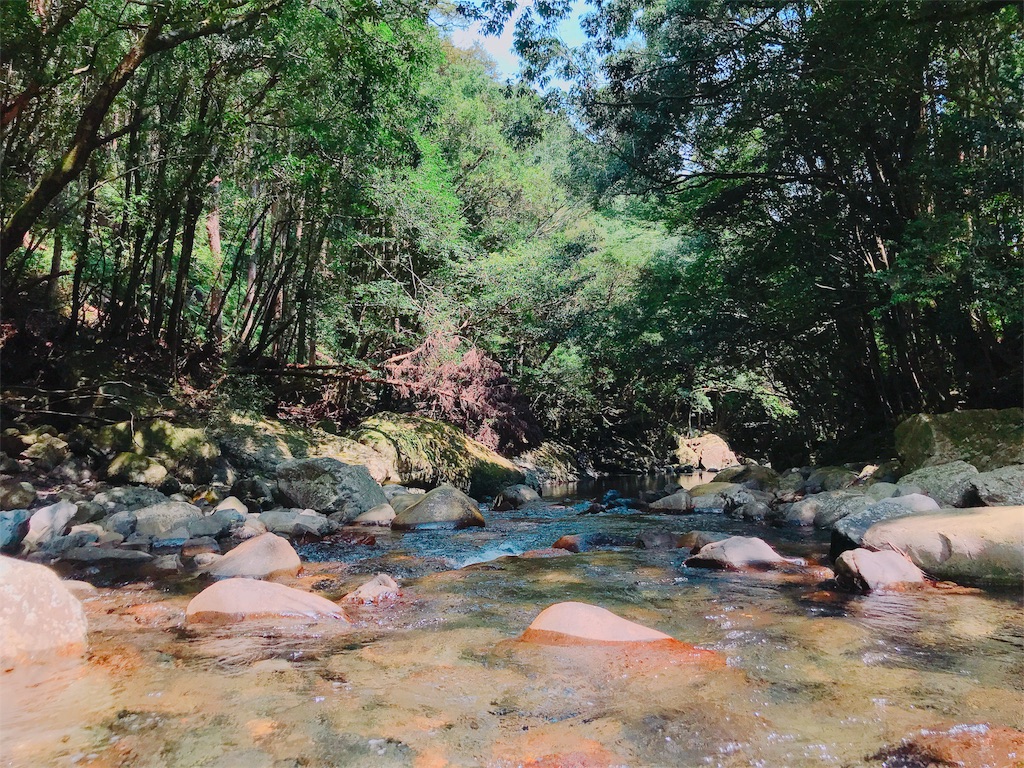 f:id:estmari:20180901153726j:image