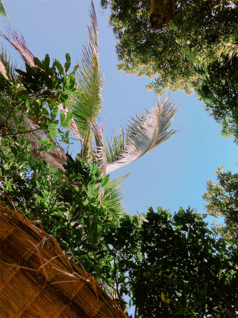 f:id:estmari:20180927094536j:image