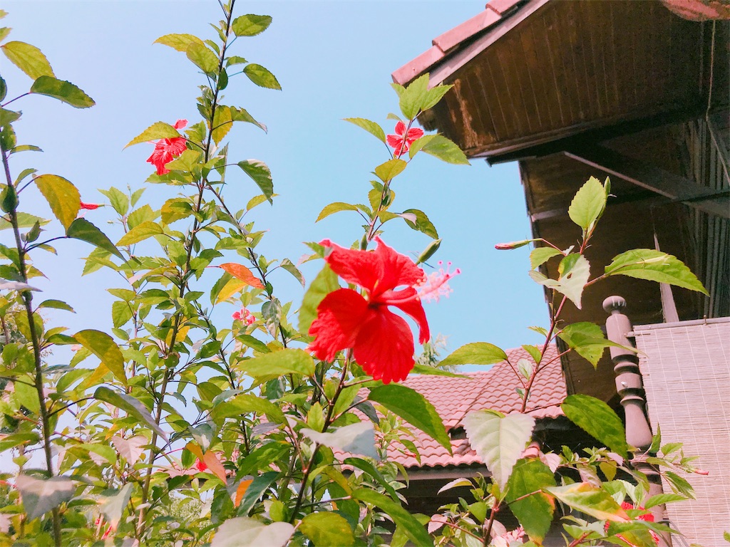 f:id:estmari:20180927100808j:image