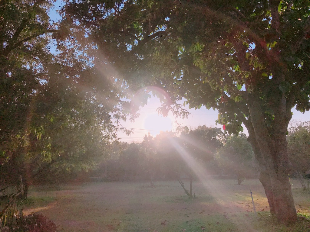 f:id:estmari:20180927101155j:image