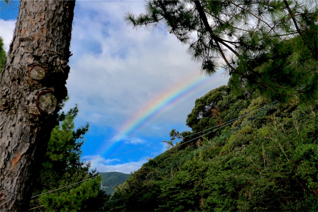 f:id:estmari:20180928231615j:image