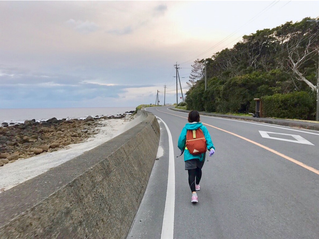 f:id:estmari:20190105125552j:image