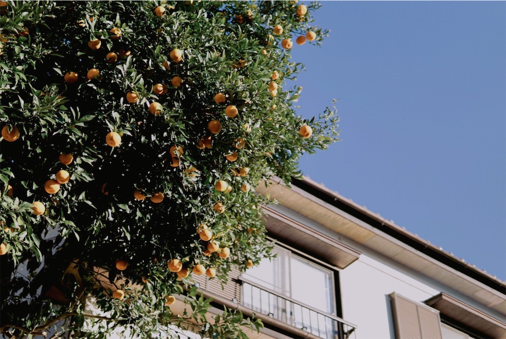 f:id:estmari:20190322132713j:image f:id:estmari:20190322132713j:image