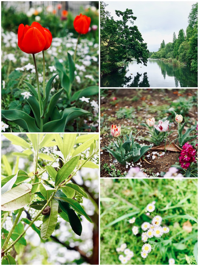 f:id:estmari:20190604204223j:image