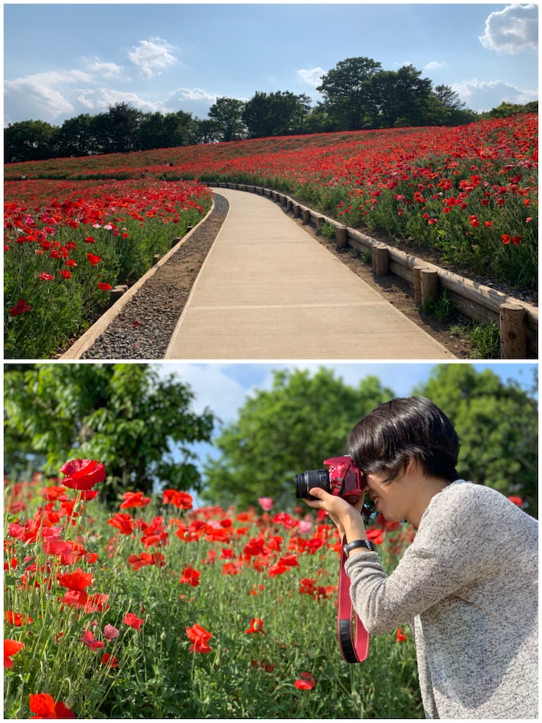 f:id:estmari:20190604204227j:image