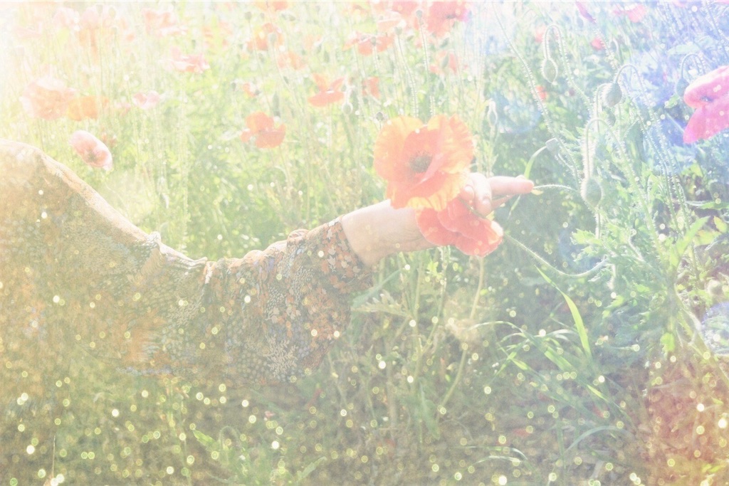 f:id:estmari:20190604204555j:image