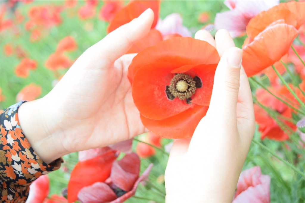 f:id:estmari:20190913021131j:image f:id:estmari:20190913021131j:image