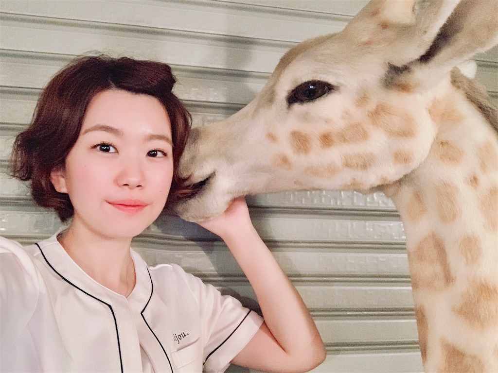 f:id:estmari:20191223181807j:image