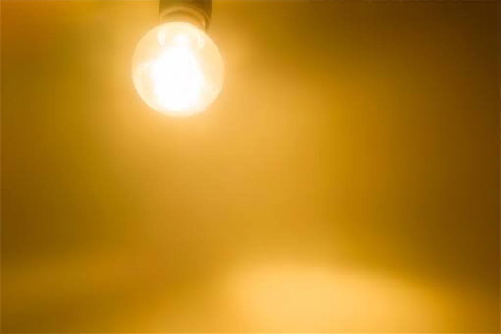 f:id:estmari:20200305151400j:image