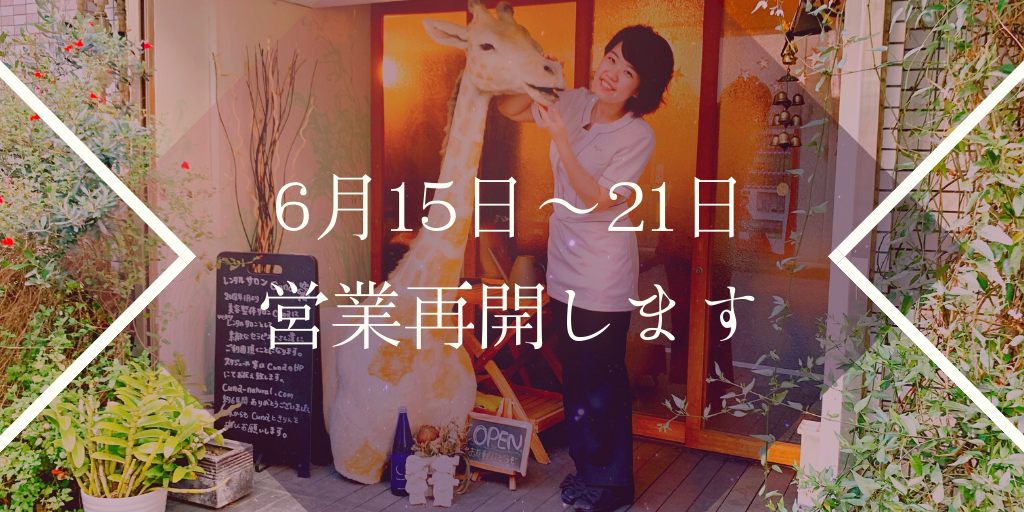 f:id:estmari:20200603015008p:image