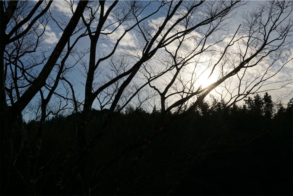 f:id:estmari:20220102120523j:plain