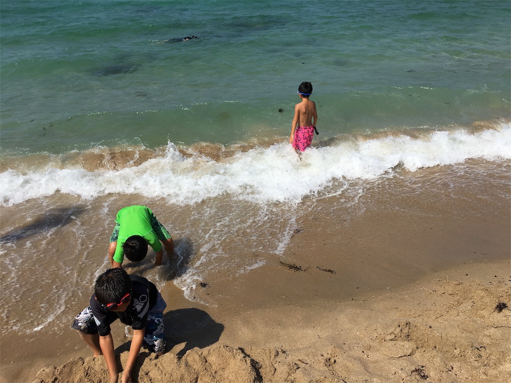 f:id:estrellafc:20160805172816j:image