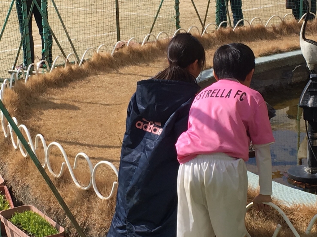 f:id:estrellafc:20180211214606j:plain