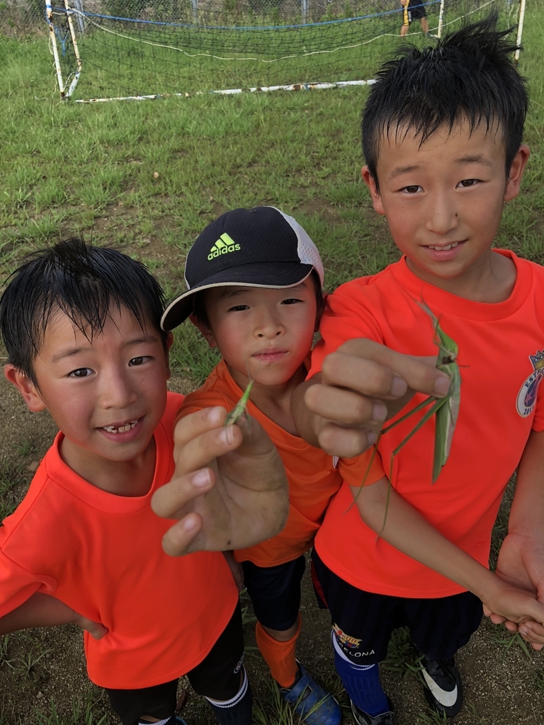 f:id:estrellafc:20180915152451j:plain