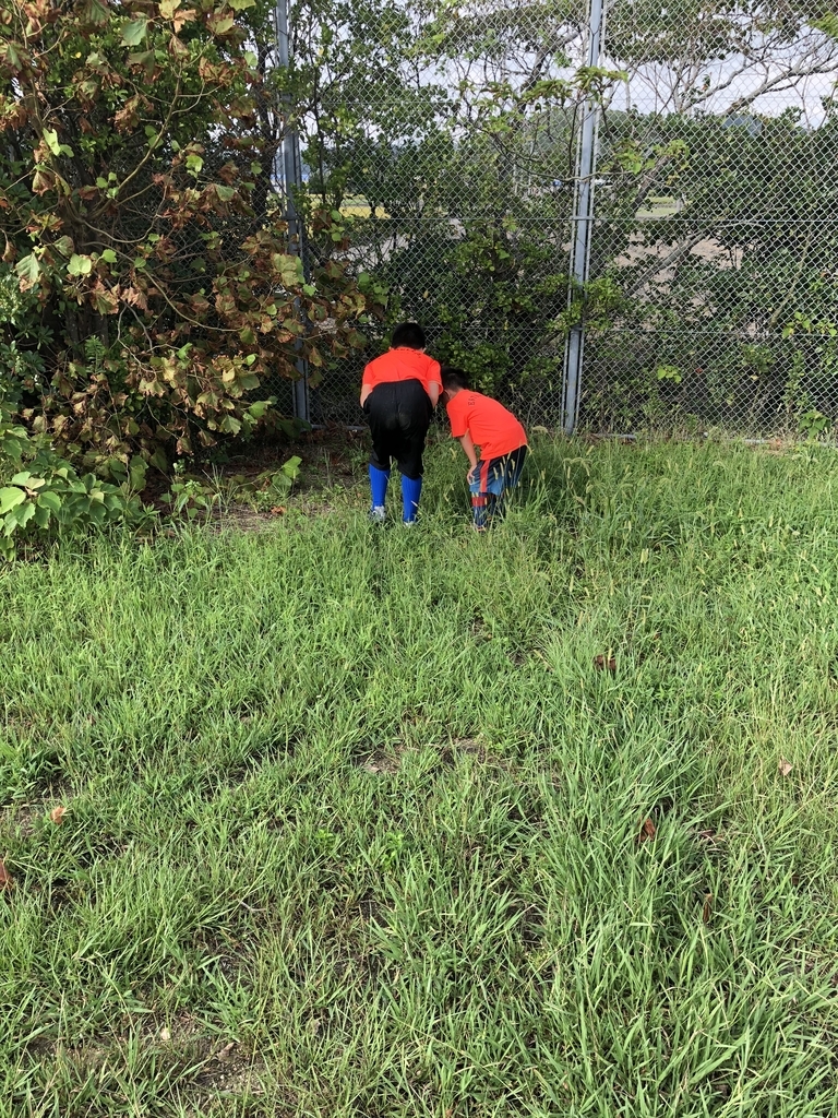 f:id:estrellafc:20180915152512j:plain