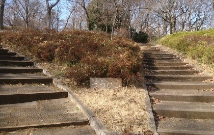 f:id:esu-kei:20170201225752j:image