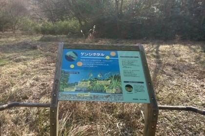 f:id:esu-kei:20170201230249j:image