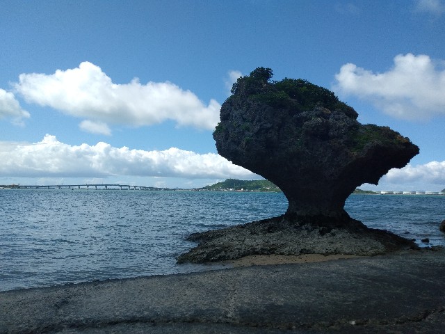 f:id:esuka_reita:20190916015538j:image f:id:esuka_reita:20190916015538j:image