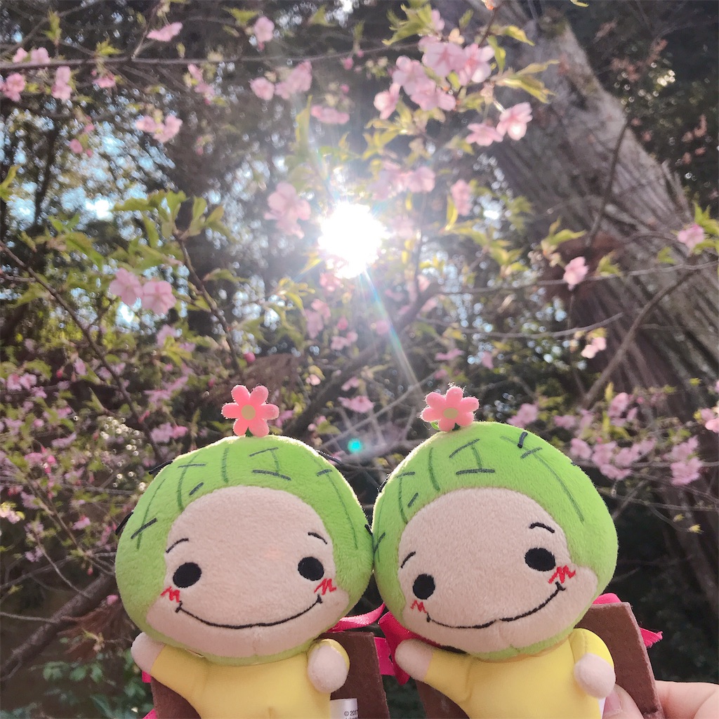 f:id:etal_p:20190302220125j:image f:id:etal_p:20190302220125j:image