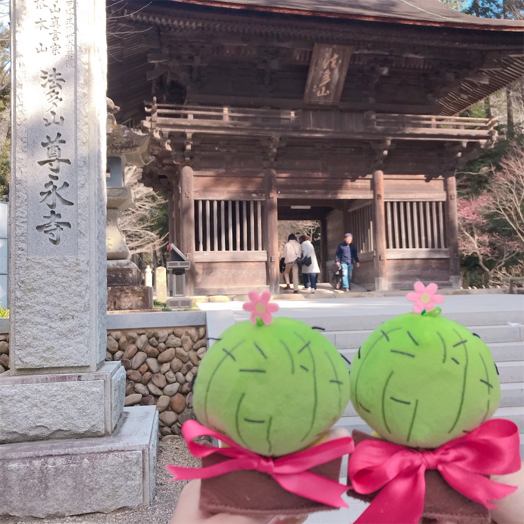 f:id:etal_p:20190302220130j:image f:id:etal_p:20190302220130j:image