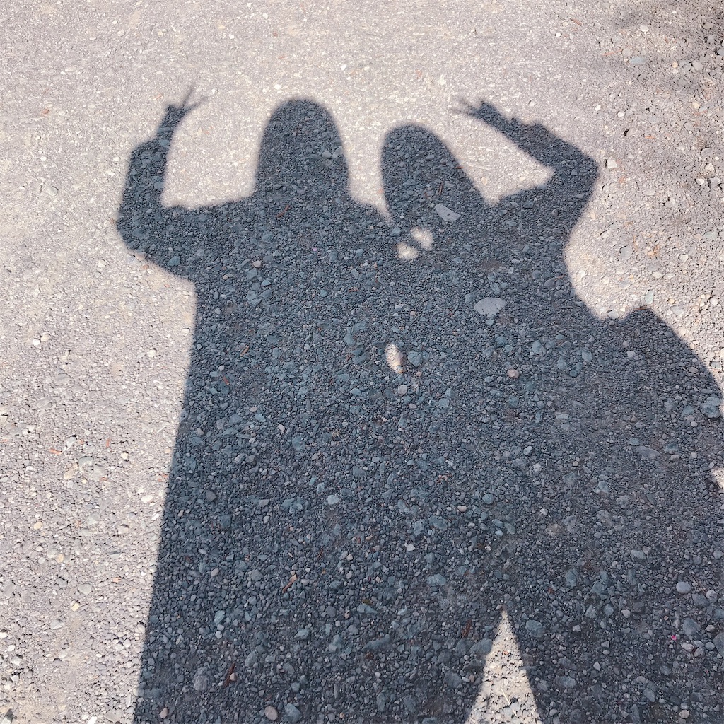 f:id:etal_p:20190302220536j:image f:id:etal_p:20190302220536j:image