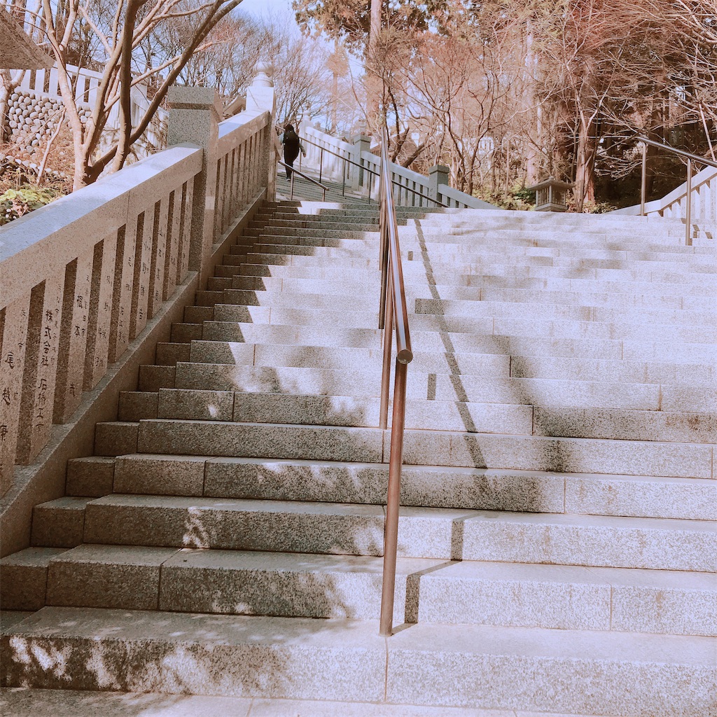 f:id:etal_p:20190302220541j:image f:id:etal_p:20190302220541j:image